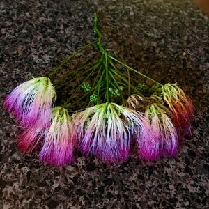 Meet your Posher, Carista